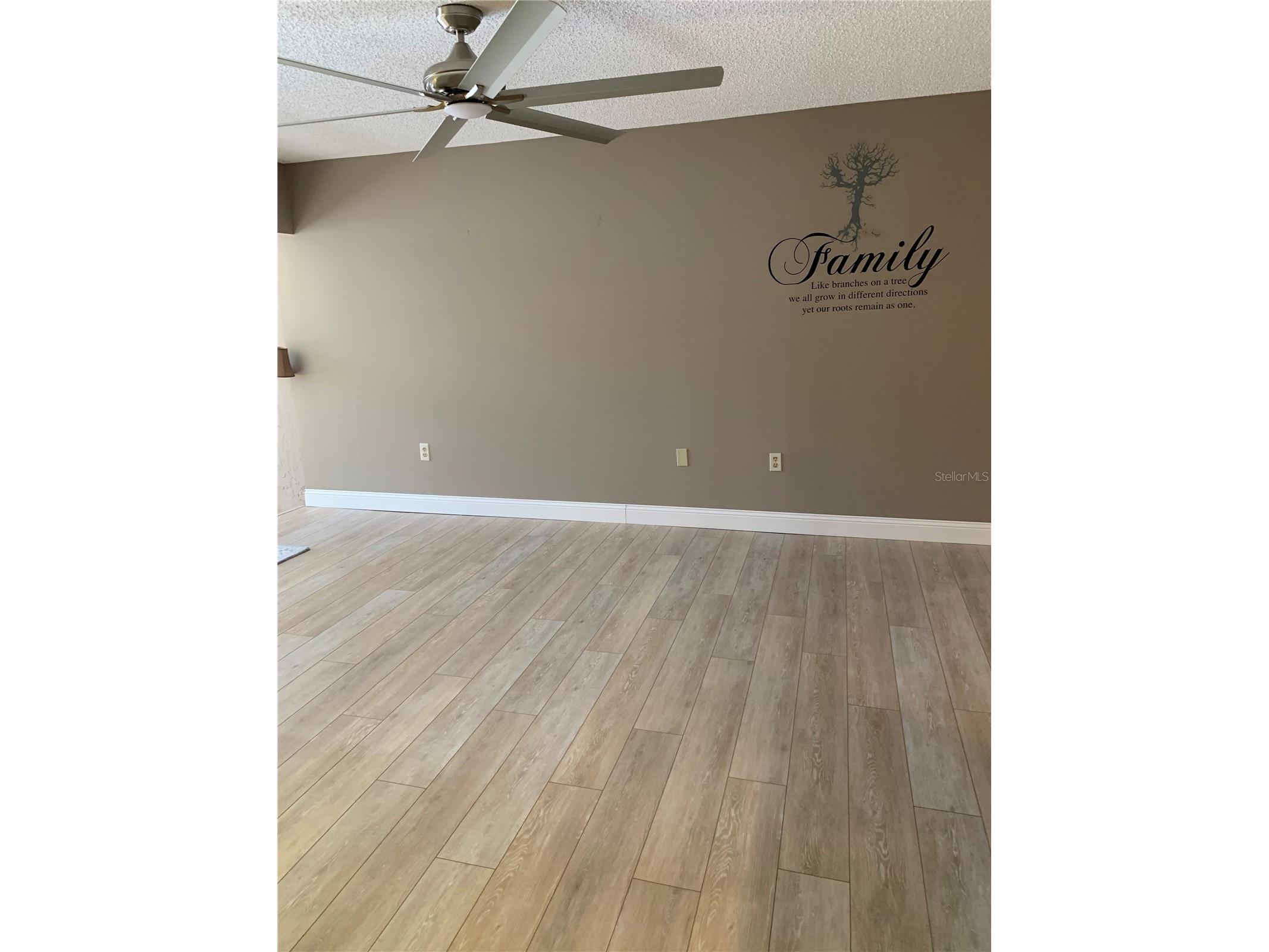 8161 Braddock Circle #1 Port Richey FL 34668 W7886086 image7