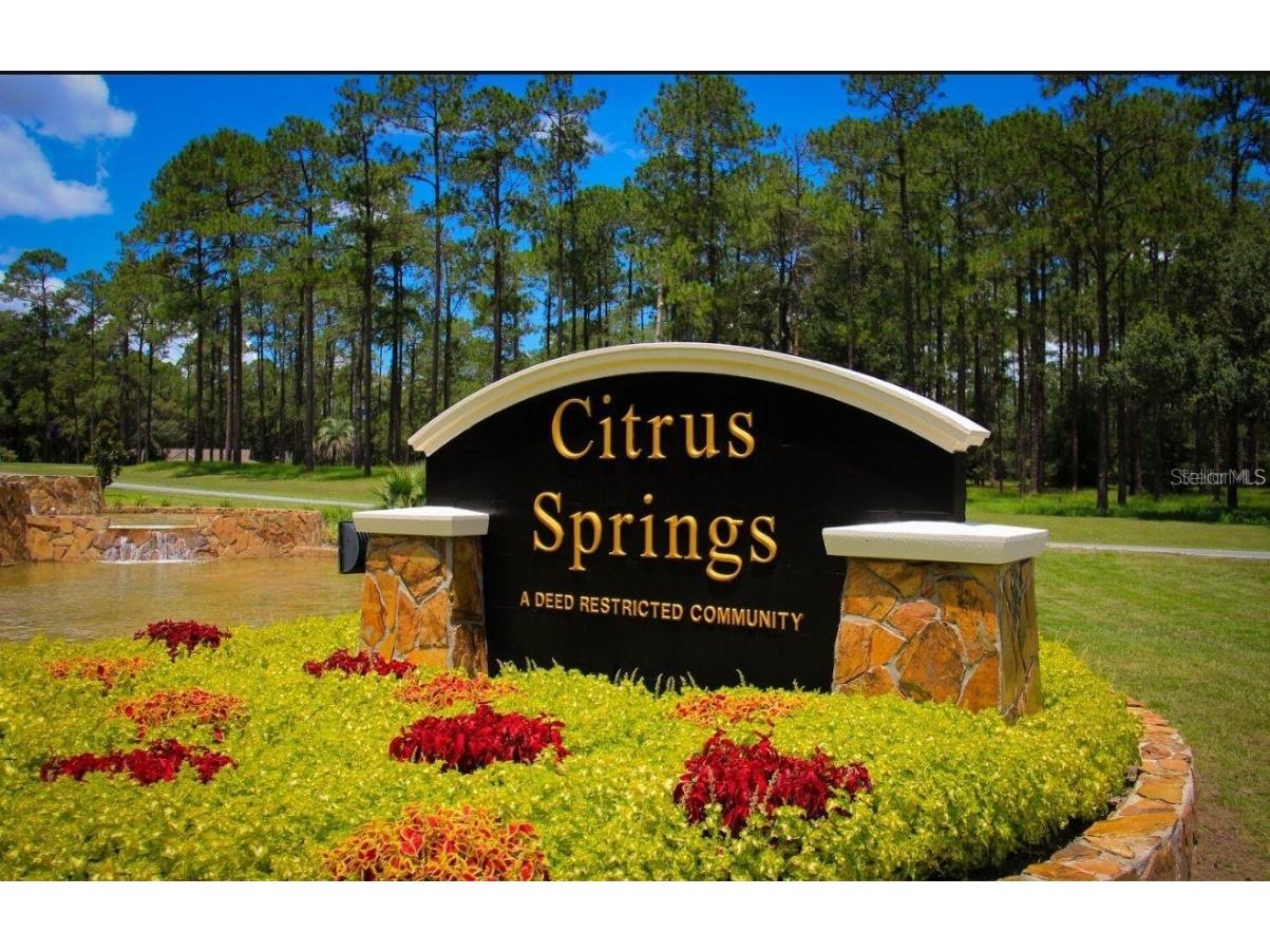 8161 N Merrimac Way Citrus Springs FL 34434 O6272108 image1