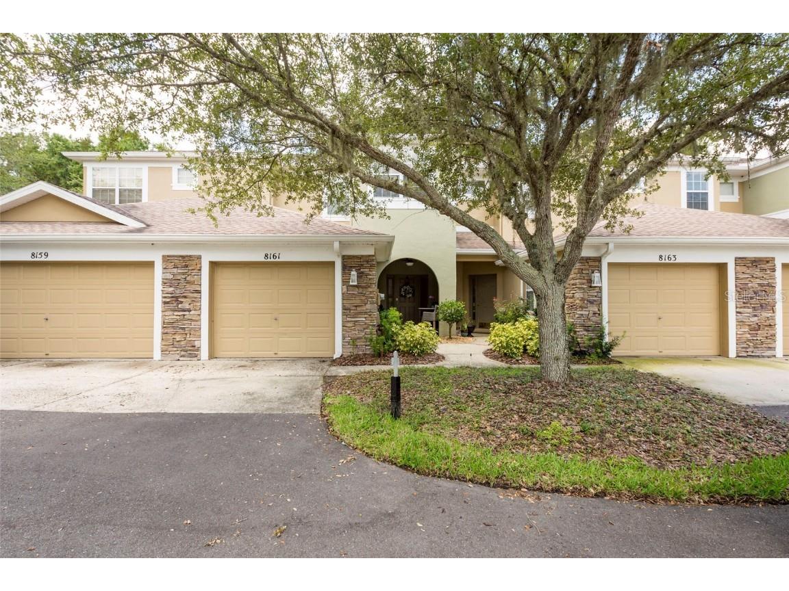 8161 Stone Leaf Lane Tampa FL 33647 T3460485 image1