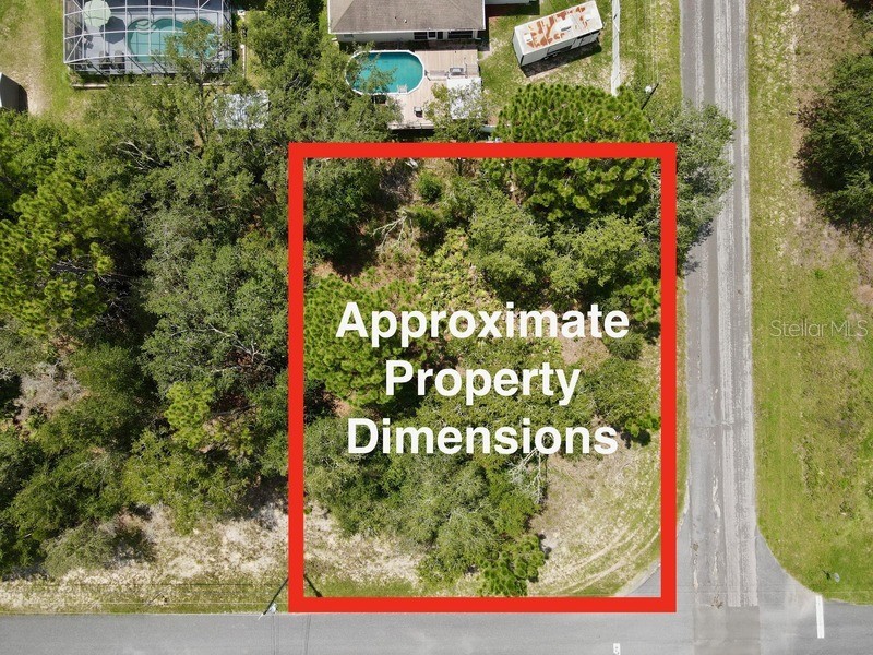 8162 N Galena Avenue Citrus Springs FL 34434 W7857018 image1