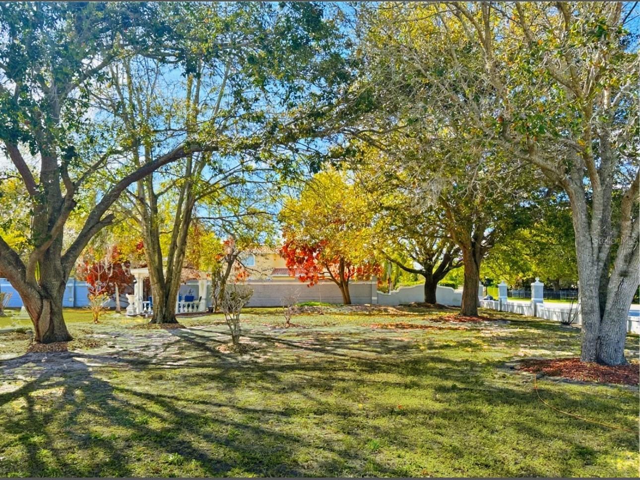 8162 Oak Park Road Orlando FL 32819 O6377684 image10