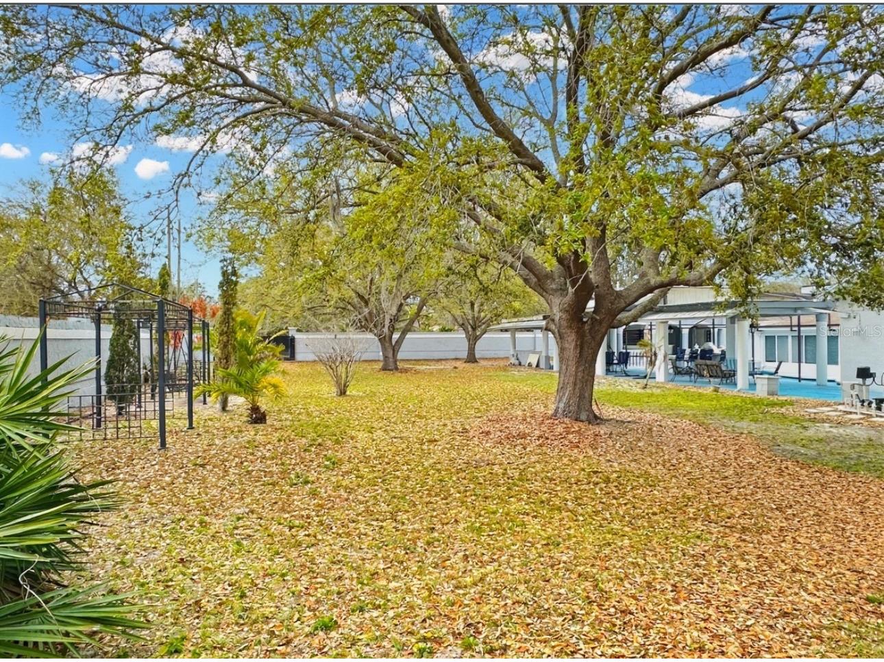 8162 Oak Park Road Orlando FL 32819 O6377684 image45