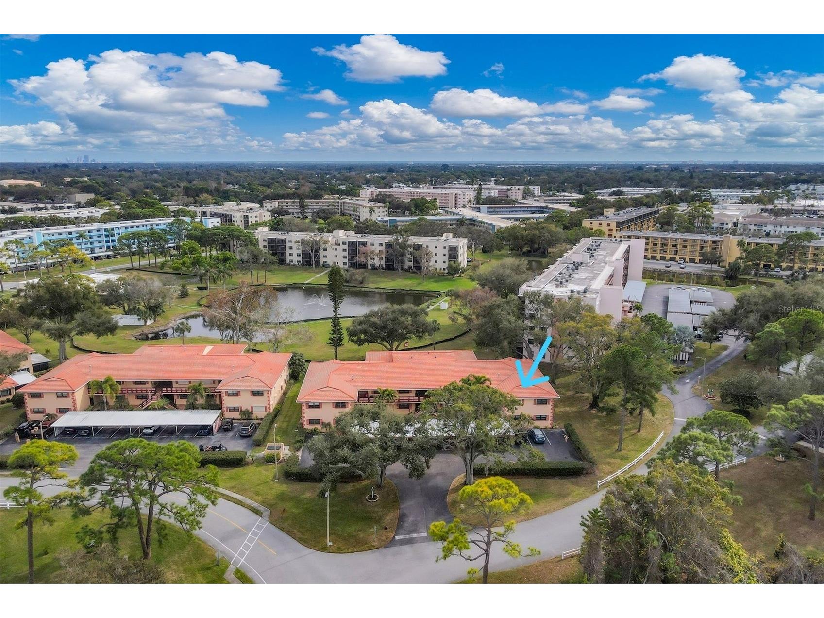 8162 Terrace Garden Drive N #204 Saint Petersburg FL 33709 A4678346 image33