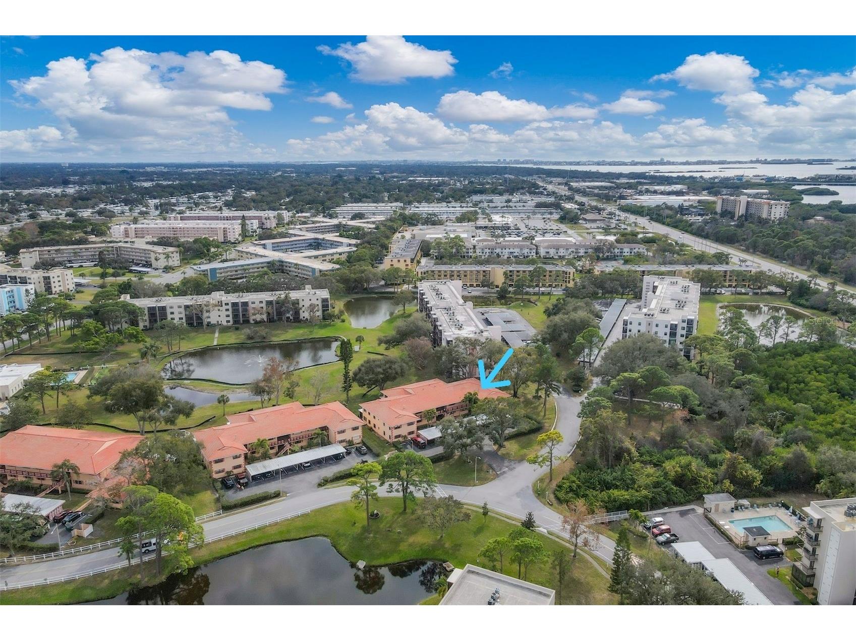 8162 Terrace Garden Drive N #204 Saint Petersburg FL 33709 A4678346 image34