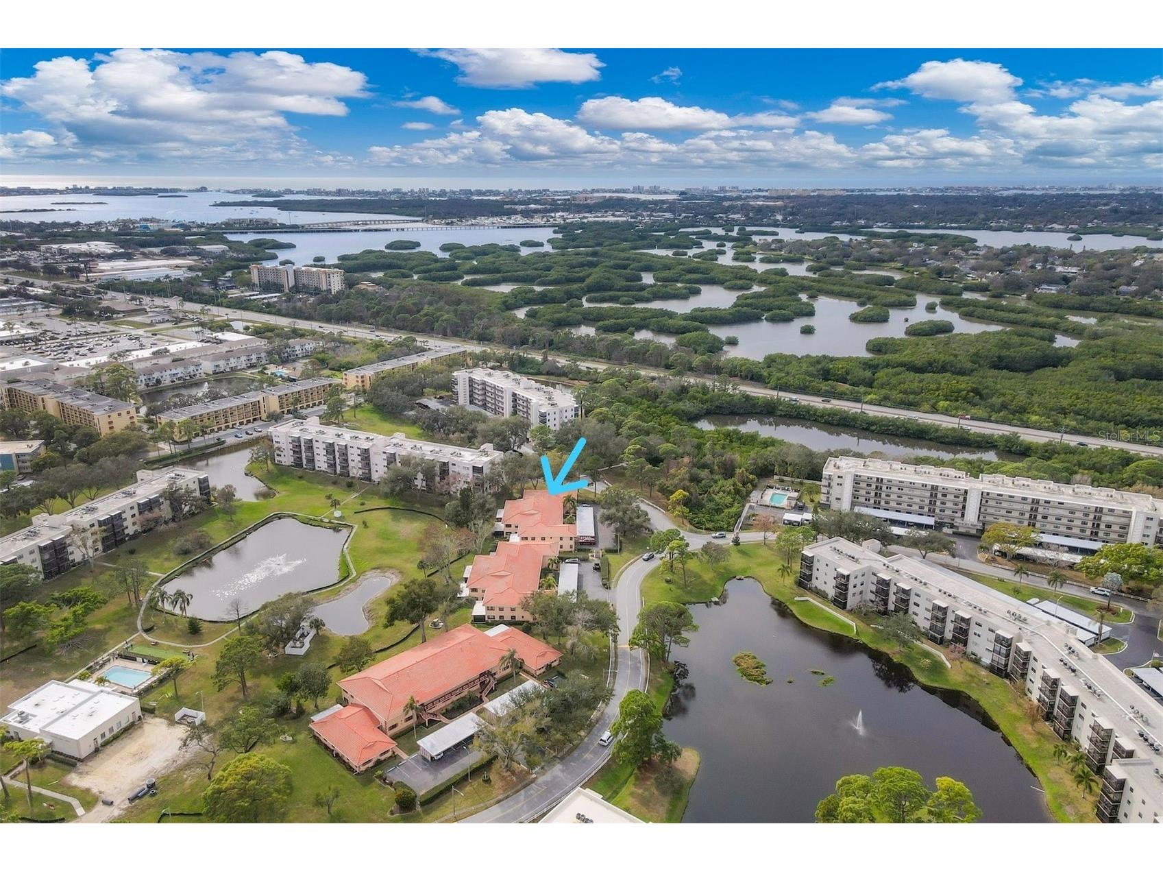 8162 Terrace Garden Drive N #204 Saint Petersburg FL 33709 A4678346 image35