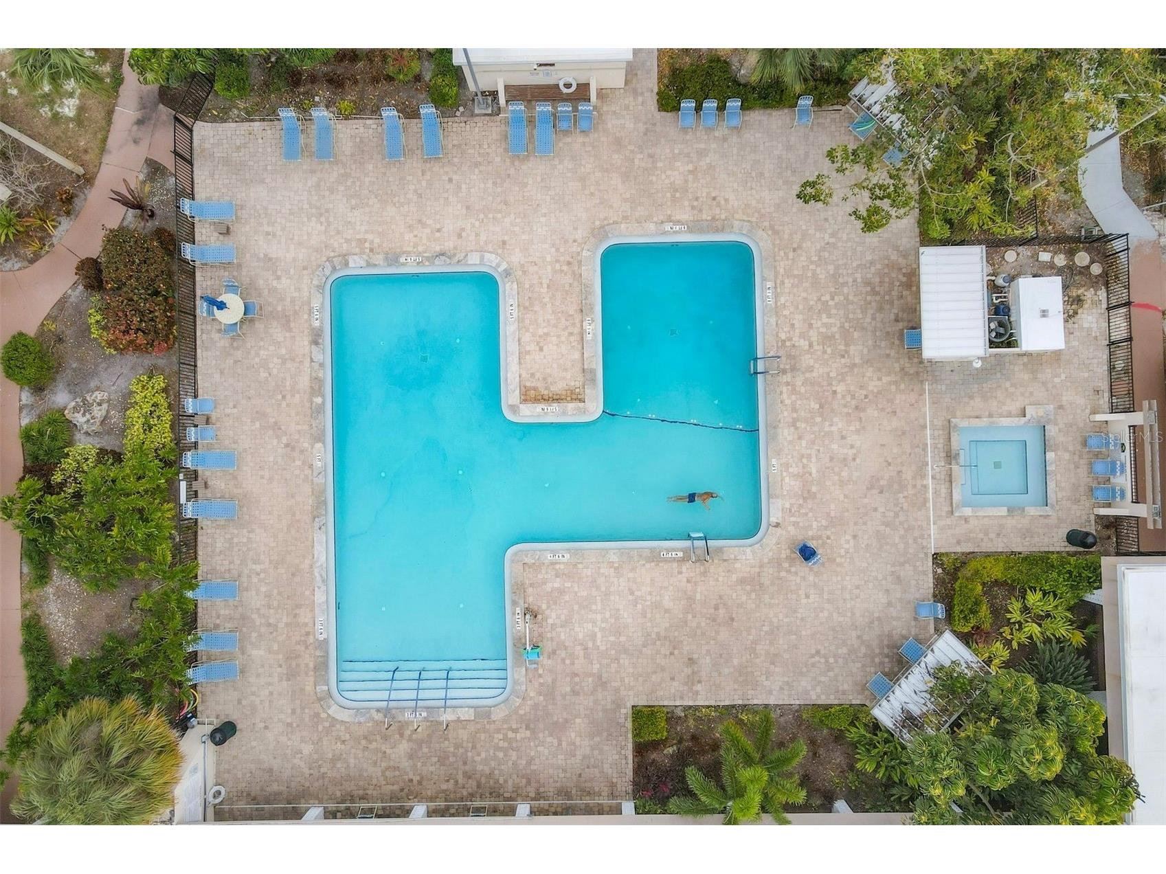 8162 Terrace Garden Drive N #204 Saint Petersburg FL 33709 A4678346 image39