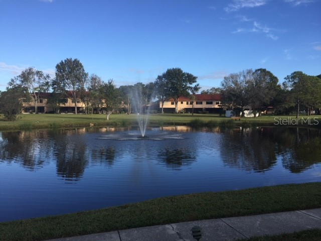 8162 Terrace Garden Drive N #204 Saint Petersburg FL 33709 A4678346 image42