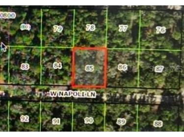 8163 W Napoli Lane Crystal River FL 34428 W7854320 image1