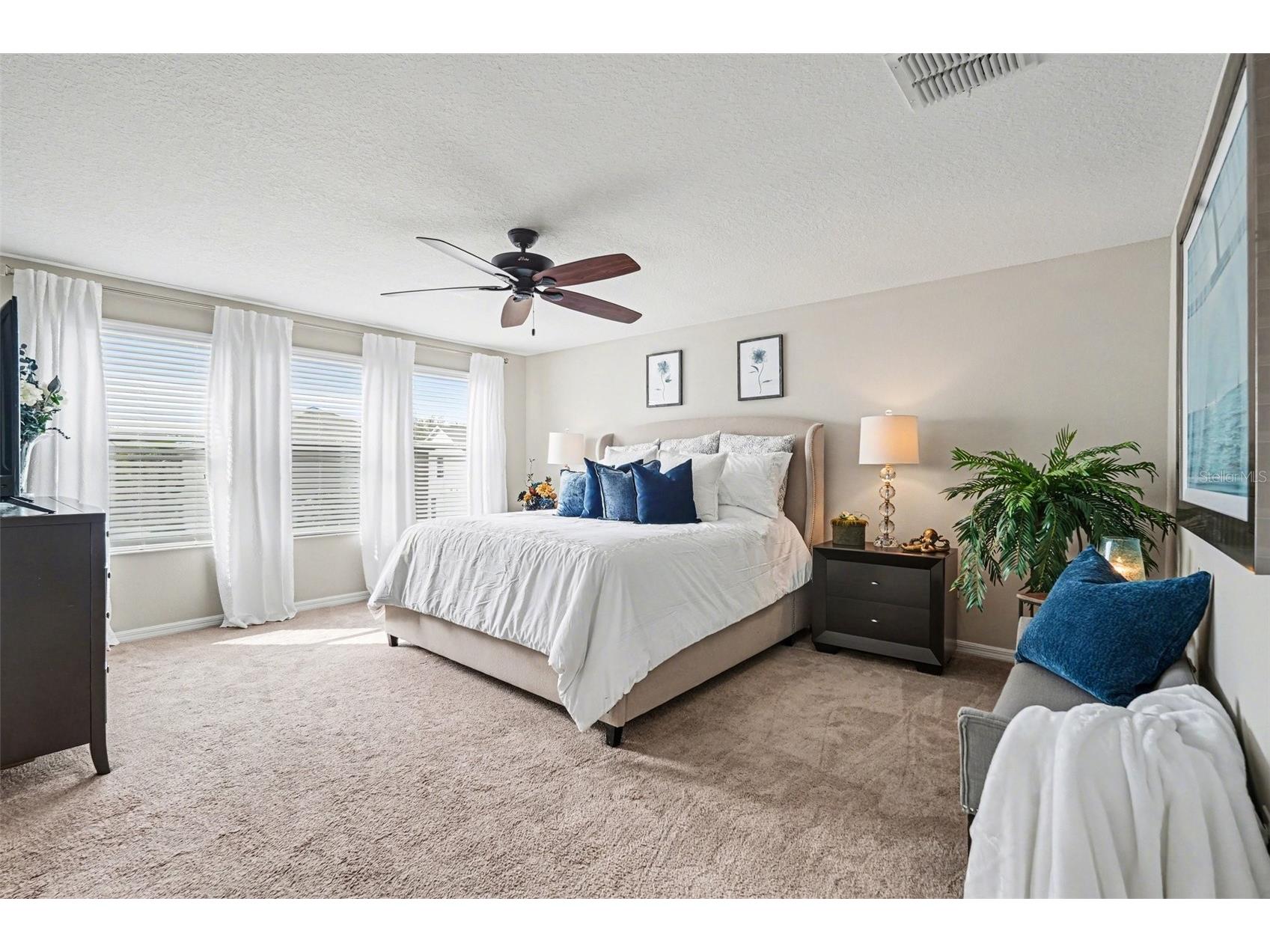8165 Faire Frost Lane Land O Lakes FL 34637 TB8487813 image29