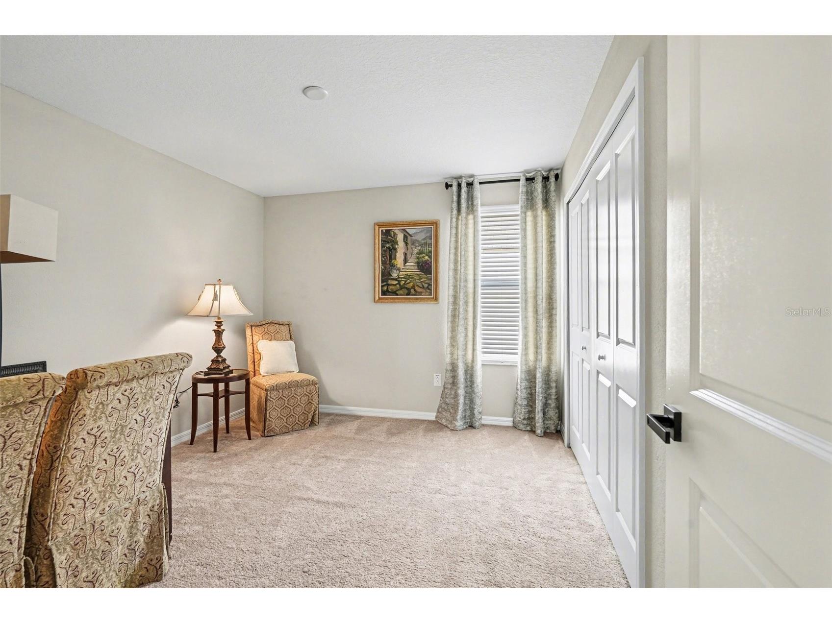 8165 Faire Frost Lane Land O Lakes FL 34637 TB8487813 image33