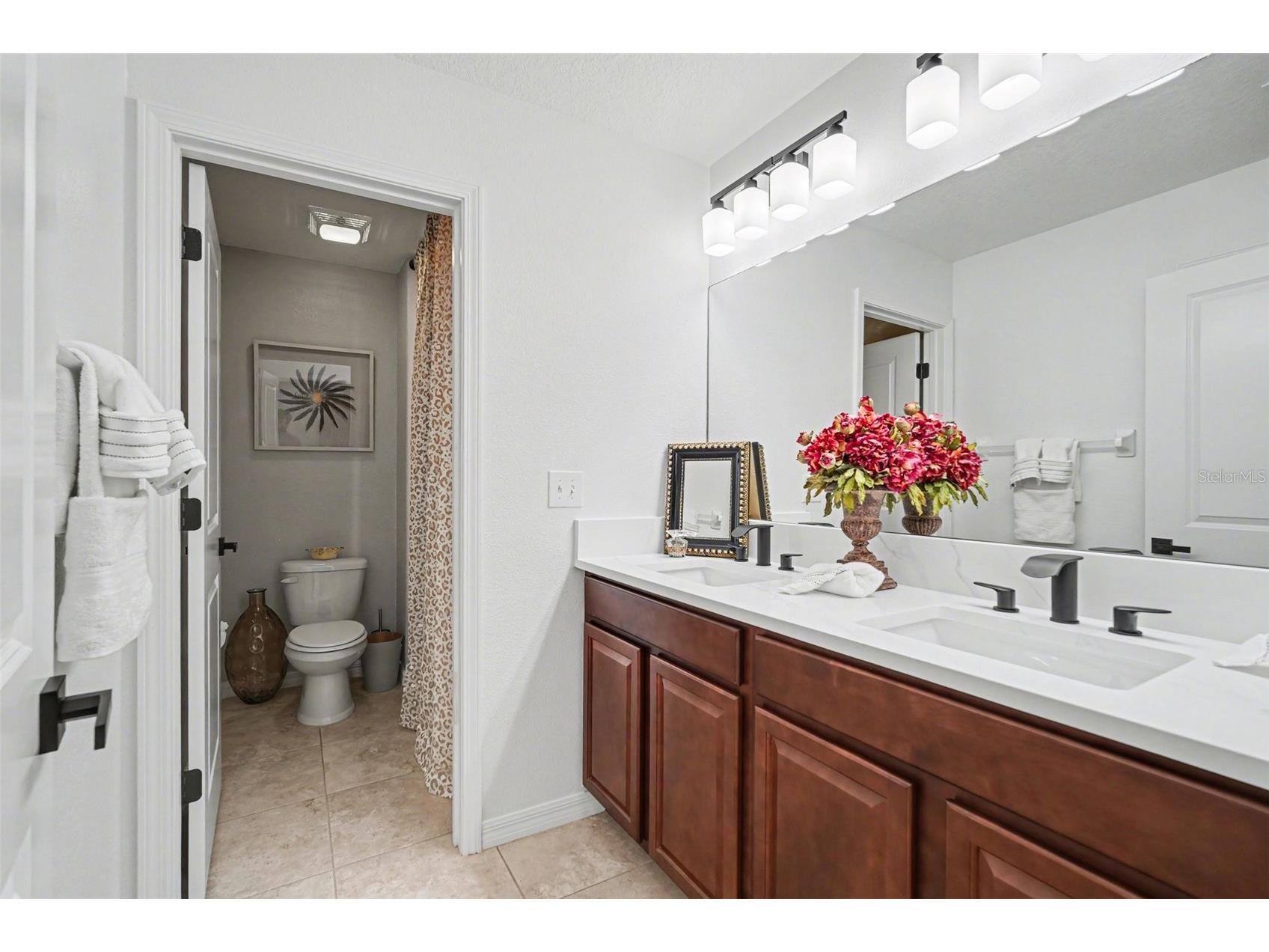 8165 Faire Frost Lane Land O Lakes FL 34637 TB8487813 image37