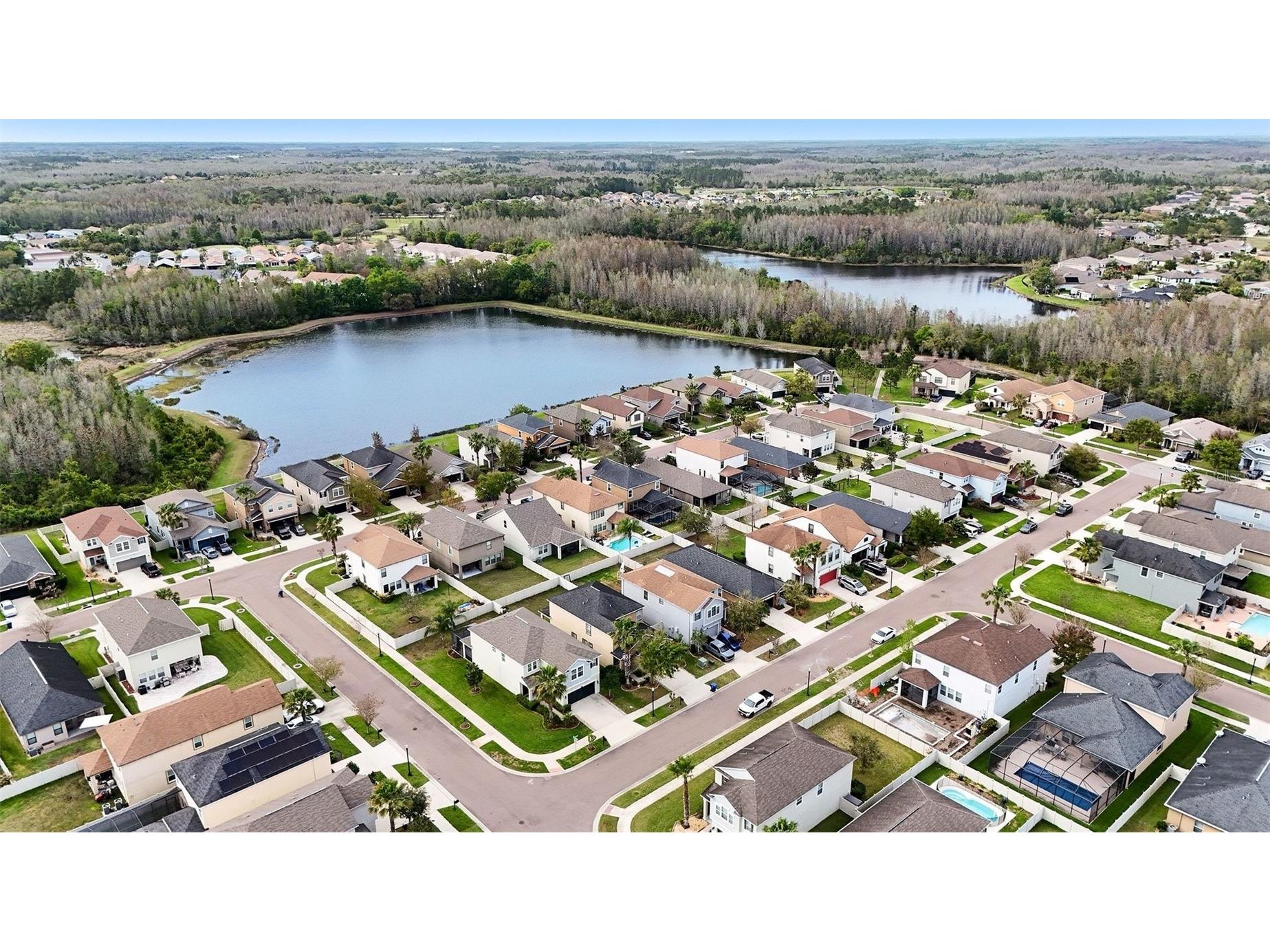 8165 Faire Frost Lane Land O Lakes FL 34637 TB8487813 image41