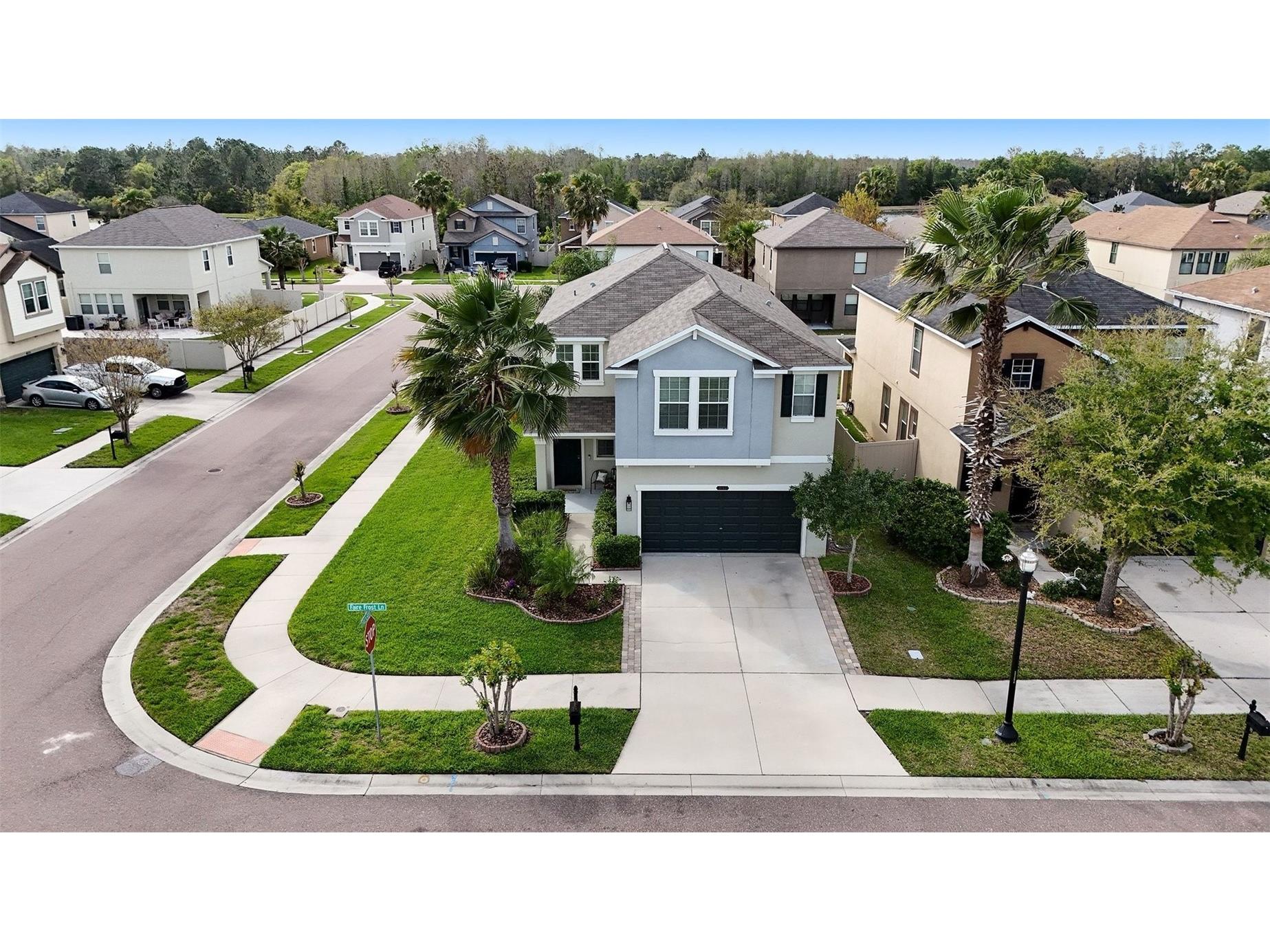8165 Faire Frost Lane Land O Lakes FL 34637 TB8487813 image50