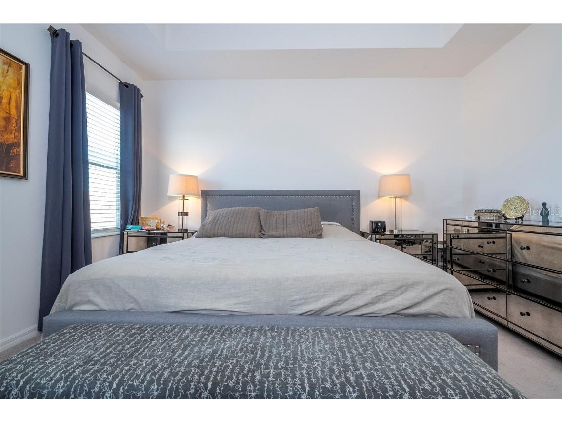 8166 Mosaic Lane Winter Garden FL 34787 O6367775 image34