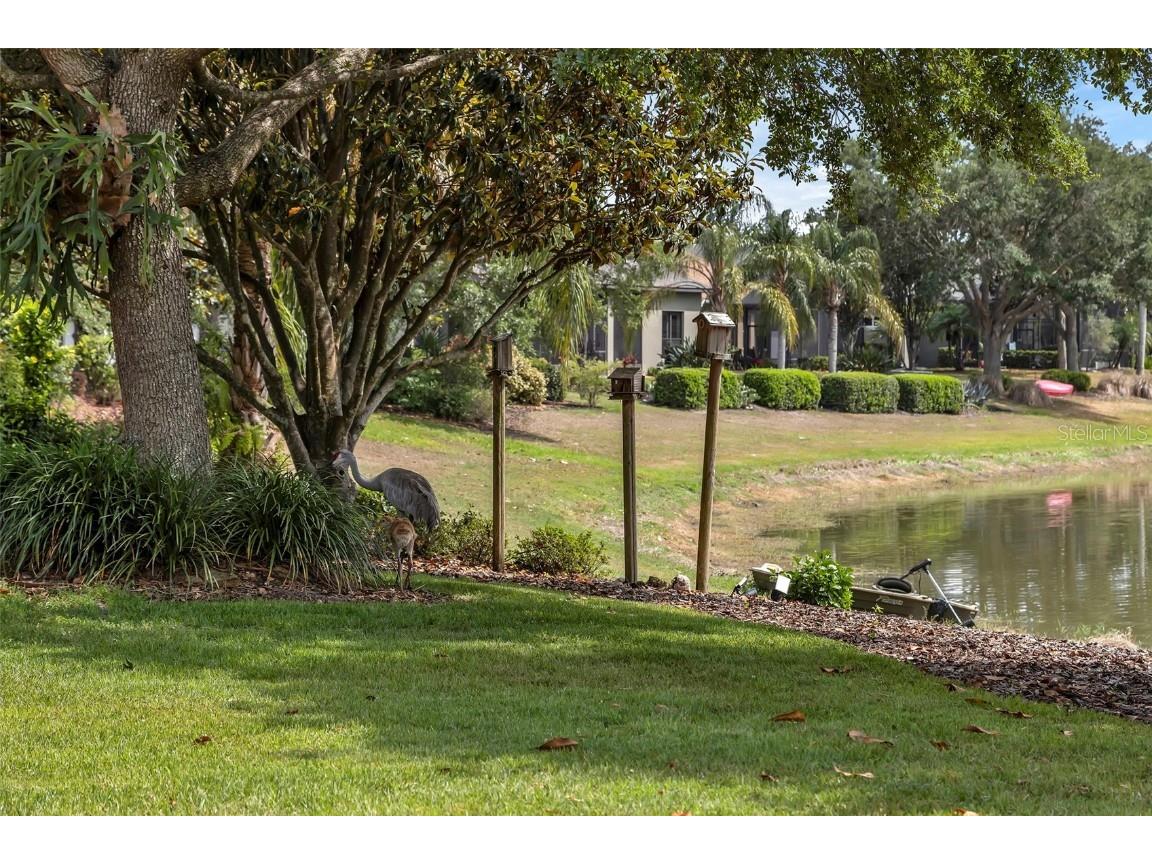 8167 Bridgeport Bay Circle Mount Dora FL 32757 G5096620 image26