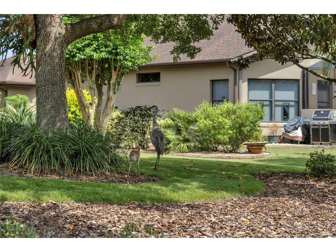 8167 Bridgeport Bay Circle Mount Dora FL 32757 G5096620 image32