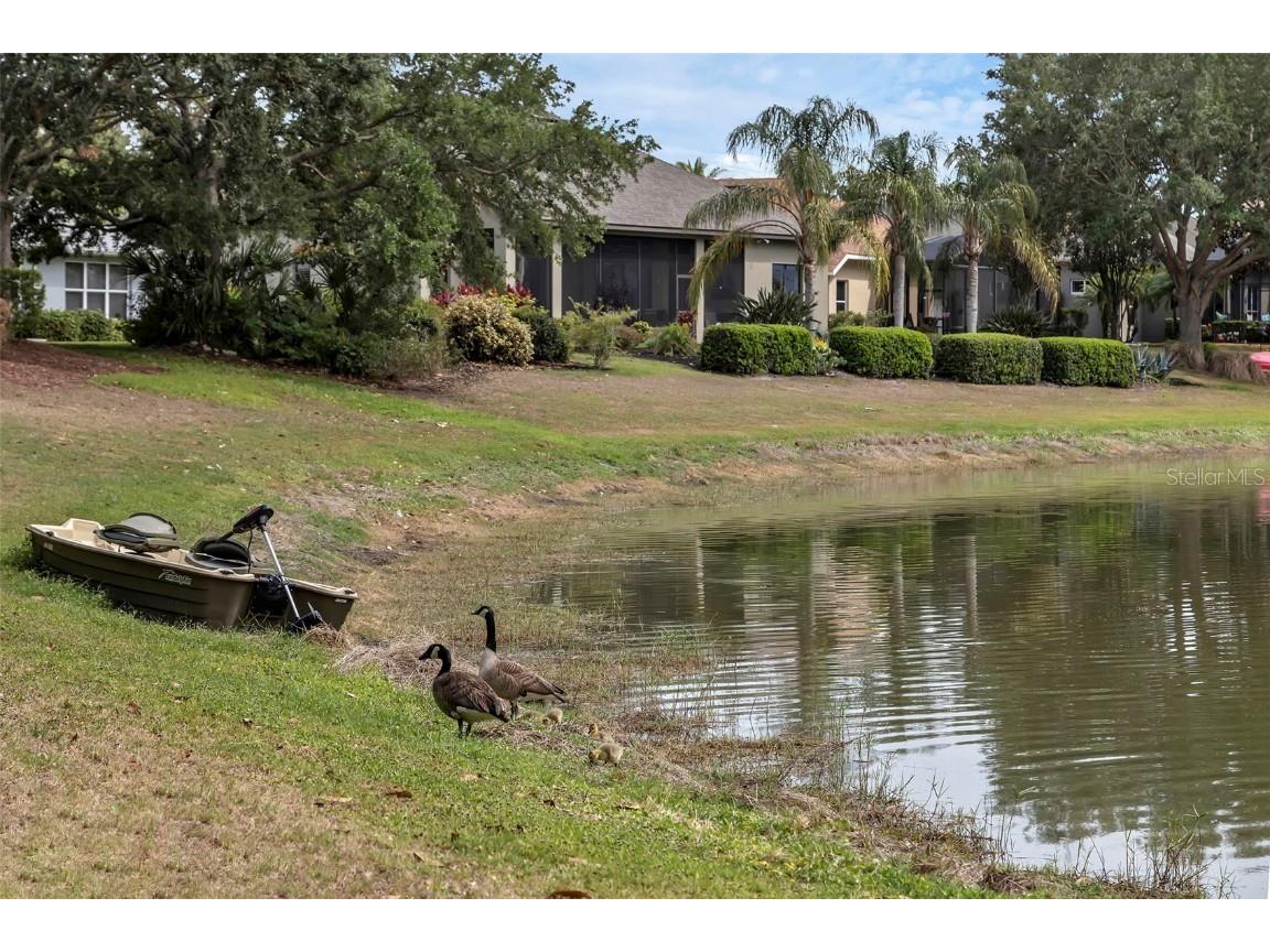 8167 Bridgeport Bay Circle Mount Dora FL 32757 G5096620 image34