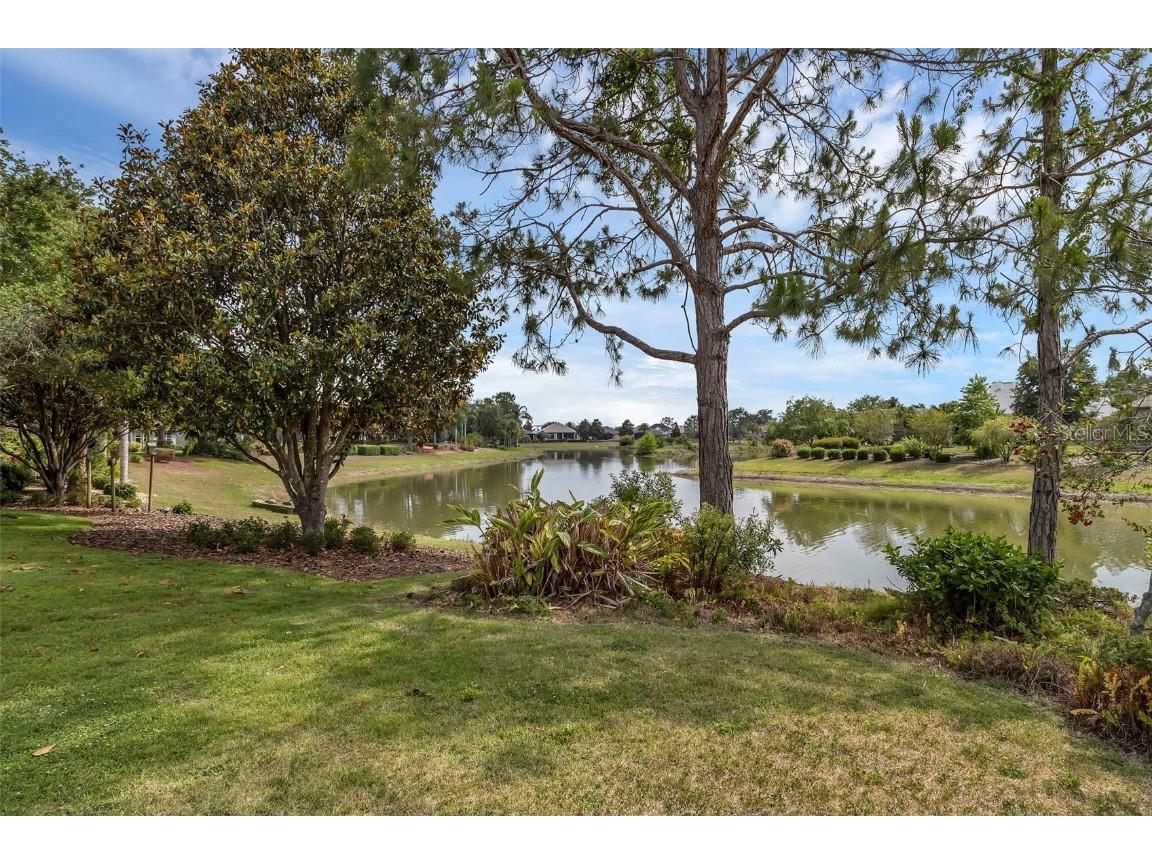 8167 Bridgeport Bay Circle Mount Dora FL 32757 G5096620 image36