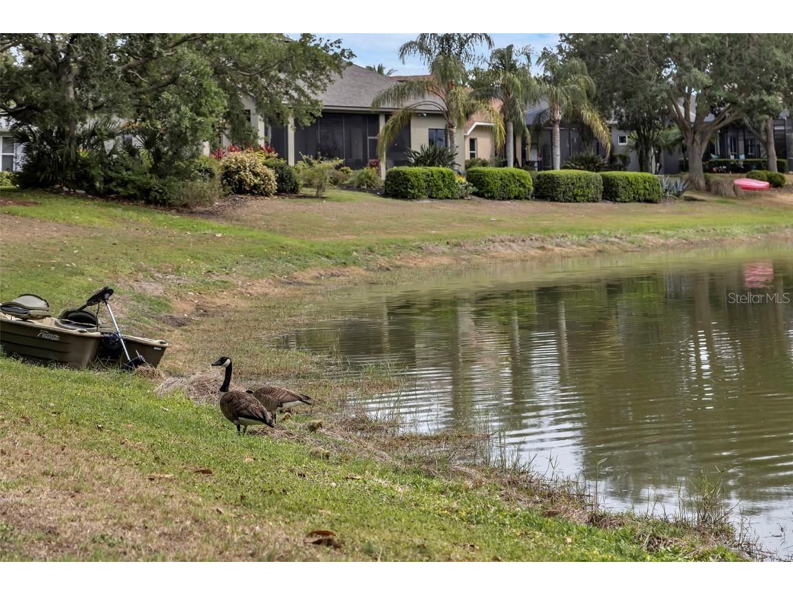 8167 Bridgeport Bay Circle Mount Dora FL 32757 G5096620 image37