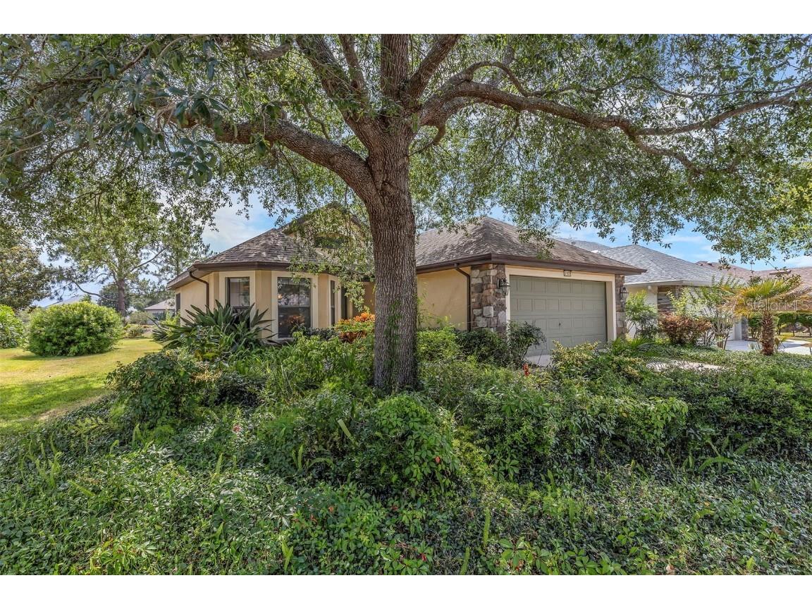8167 Bridgeport Bay Circle Mount Dora FL 32757 G5096620 image39