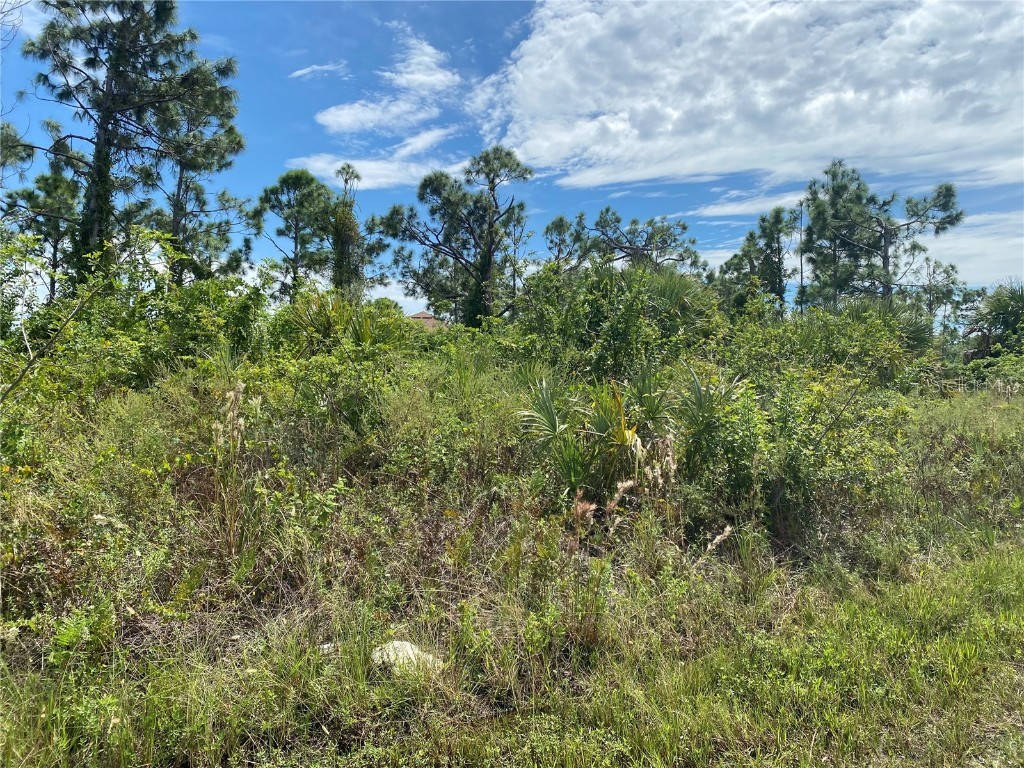 8168 Caroline Drive Port Charlotte FL 33981 D6132508 image1