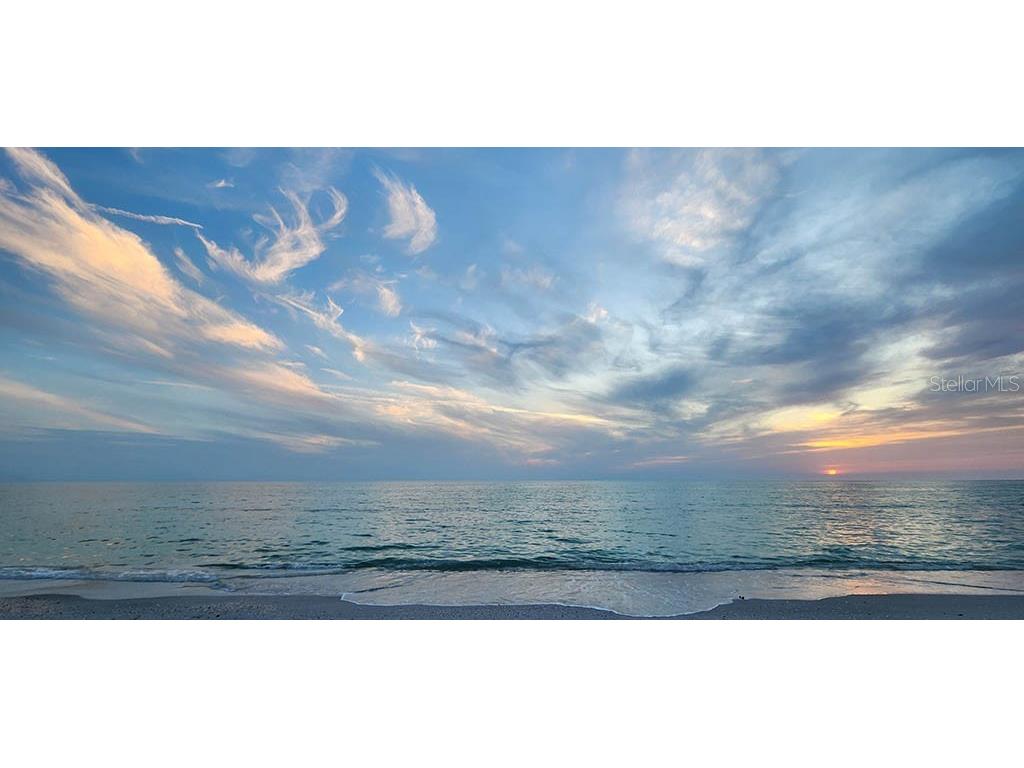 8168 Little Gasparilla Island Placida FL 33946 - PLACIDA HARBORGULF OF AMERICA D6142436 image15