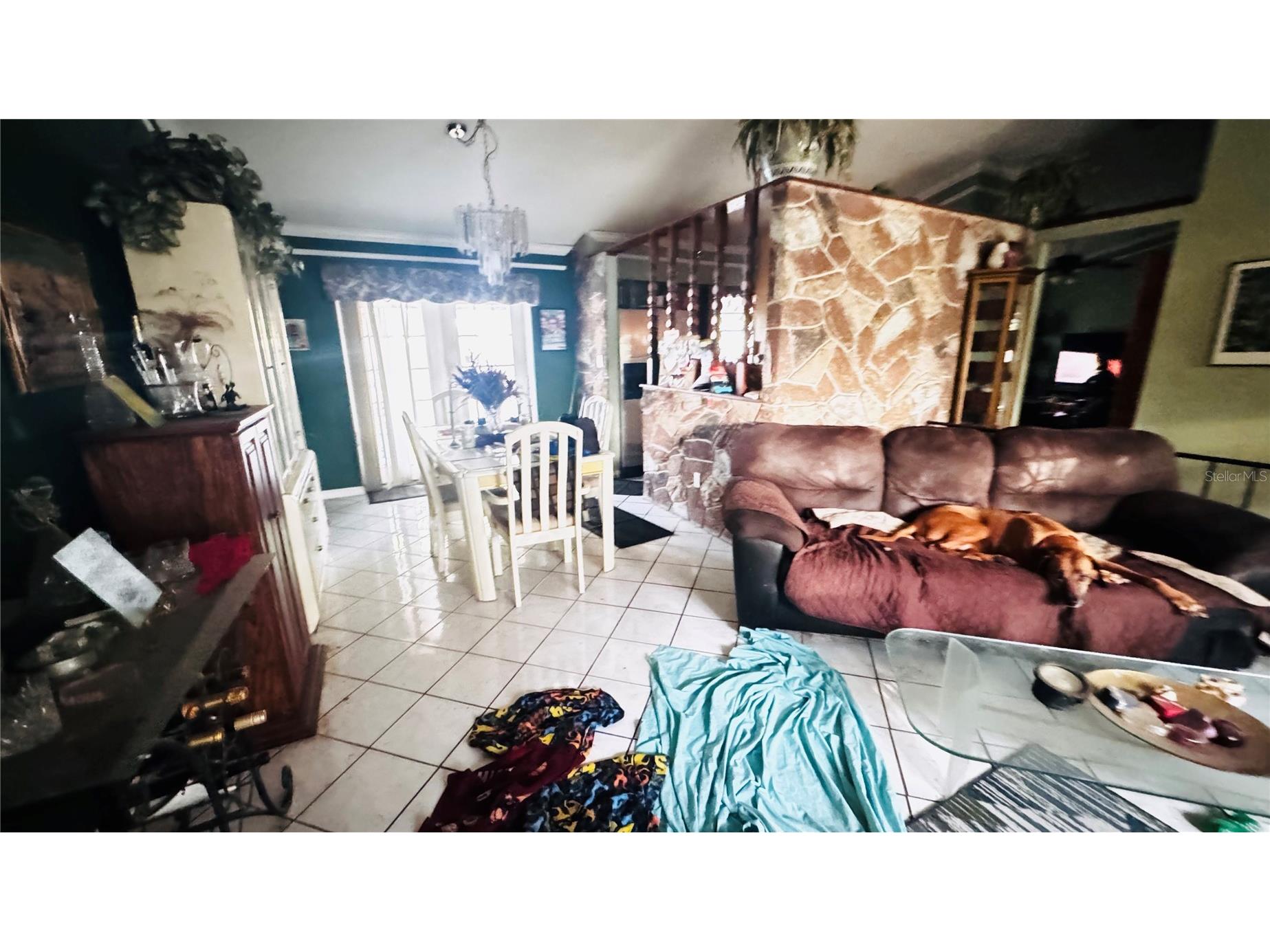 8168 Strada Drive Orlando FL 32822 O6423831 image4