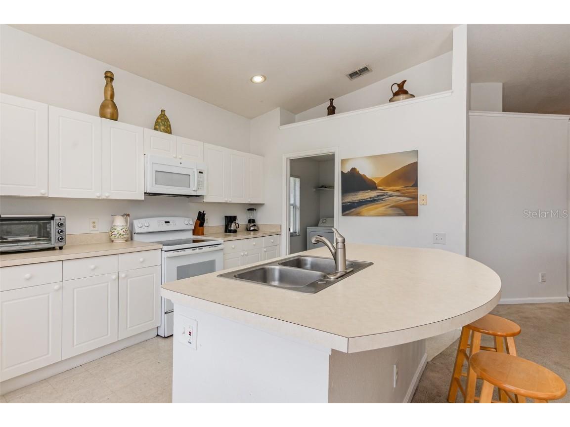 8169 Fan Palm Way Kissimmee FL 34747 O6254325 image21