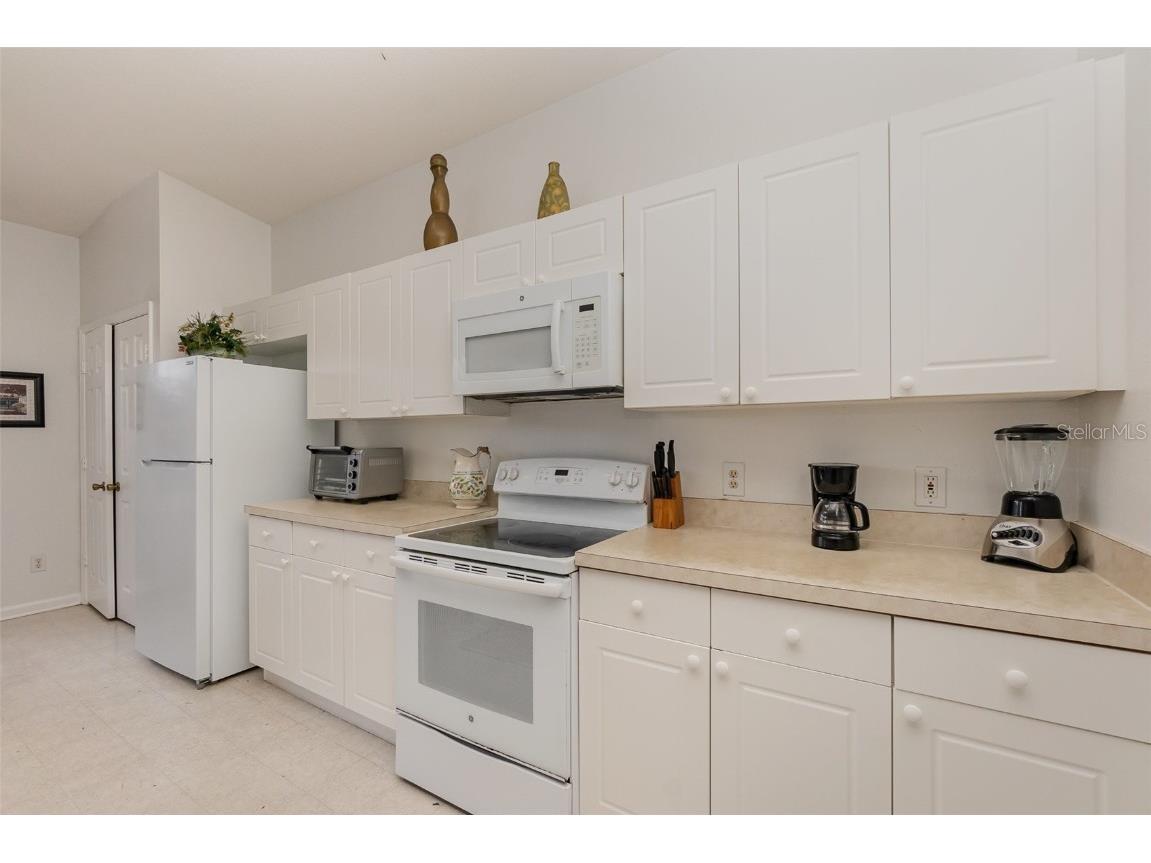 8169 Fan Palm Way Kissimmee FL 34747 O6254325 image22