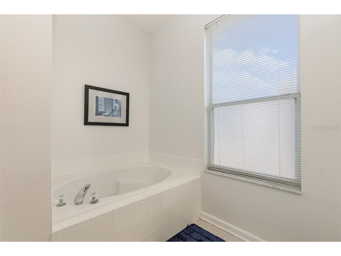 8169 Fan Palm Way Kissimmee FL 34747 O6254325 image28