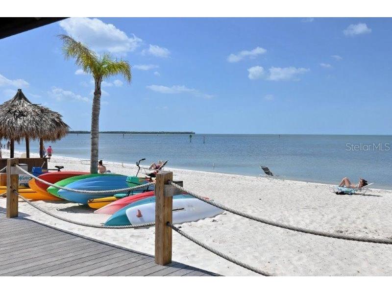 817 Bahia Del Sol Drive #40 Ruskin FL 33570 A4677283 image46