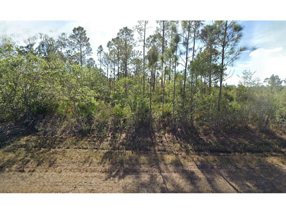 817 Calliandra Drive Indian Lake Estates FL 33855 O6268295 image1