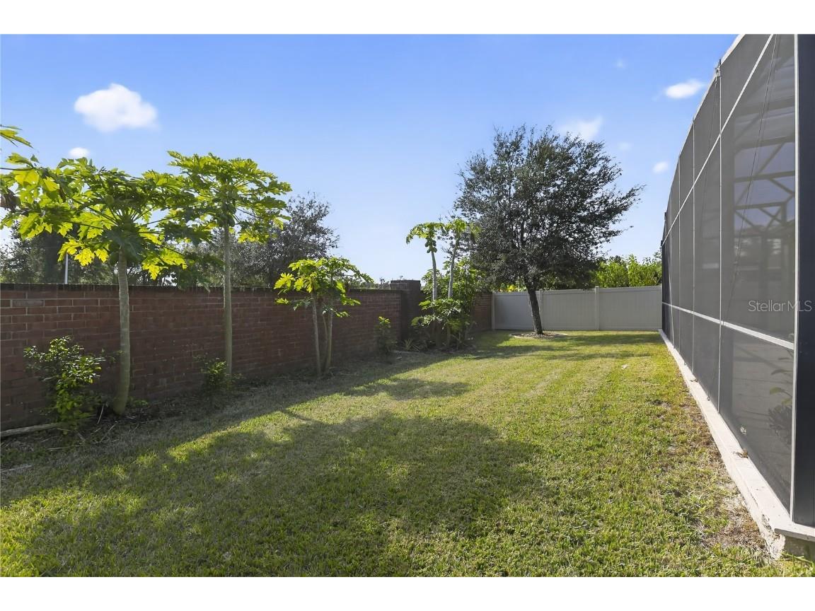 817 Dusty Pine Drive Apopka FL 32703 O6361749 image17
