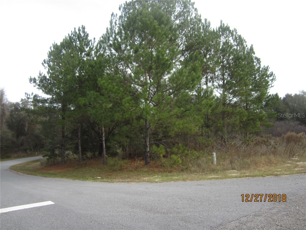 817 E Noah Lane Citrus Springs FL 34434 OM663035 image1