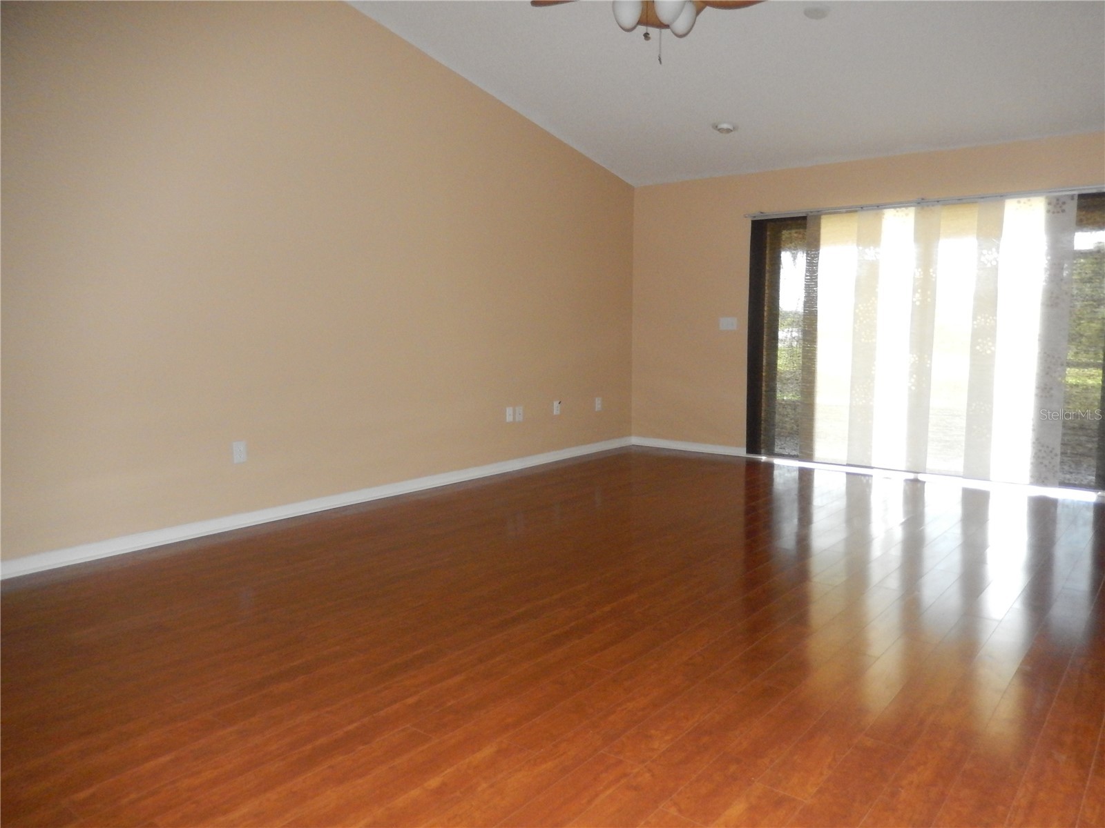 817 Frankford Drive Brandon FL 33511 TB8509483 image2