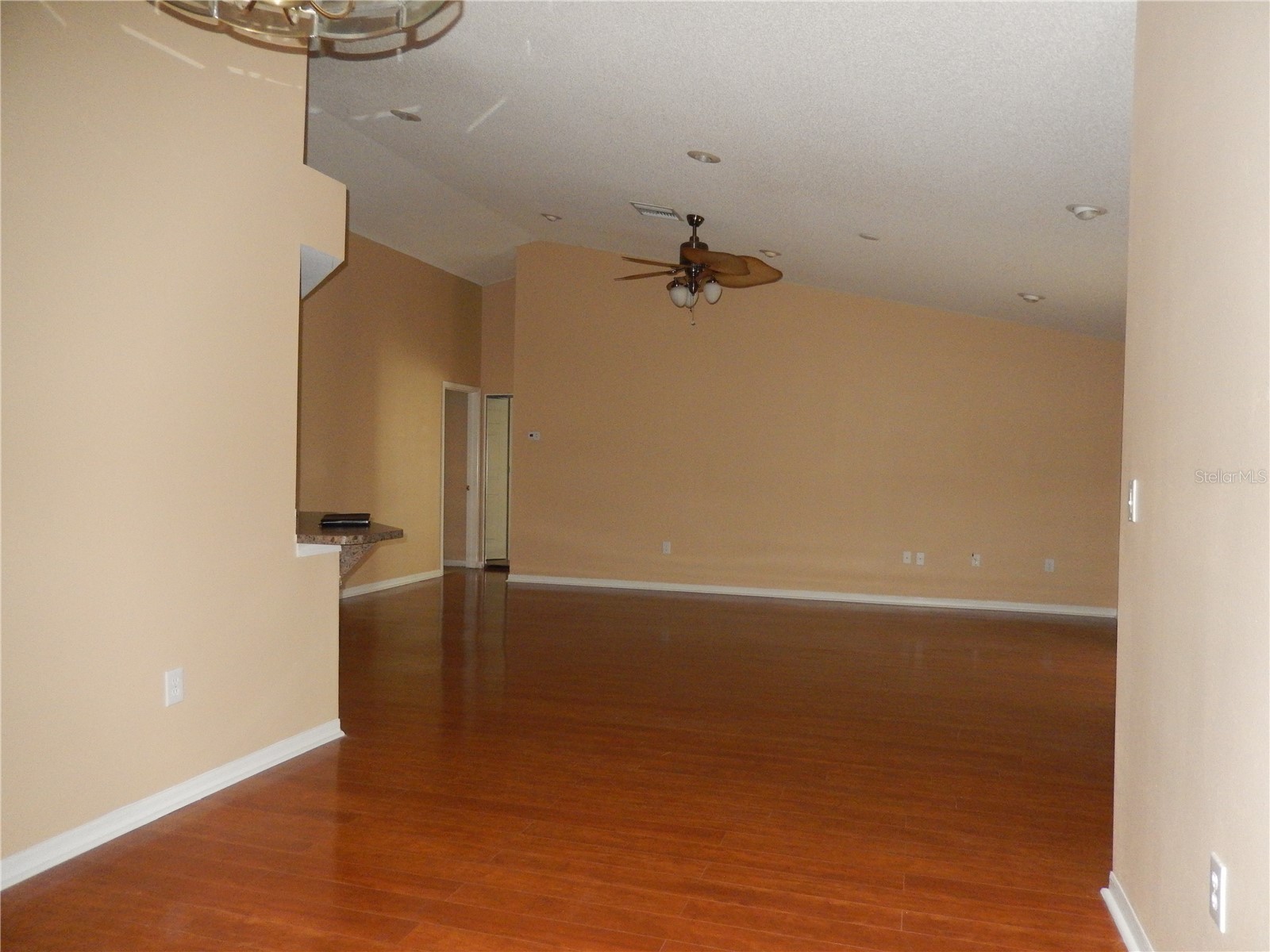 817 Frankford Drive Brandon FL 33511 TB8509483 image5