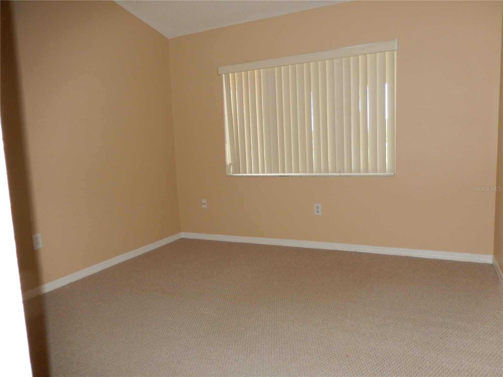 817 Frankford Drive Brandon FL 33511 TB8509483 image7