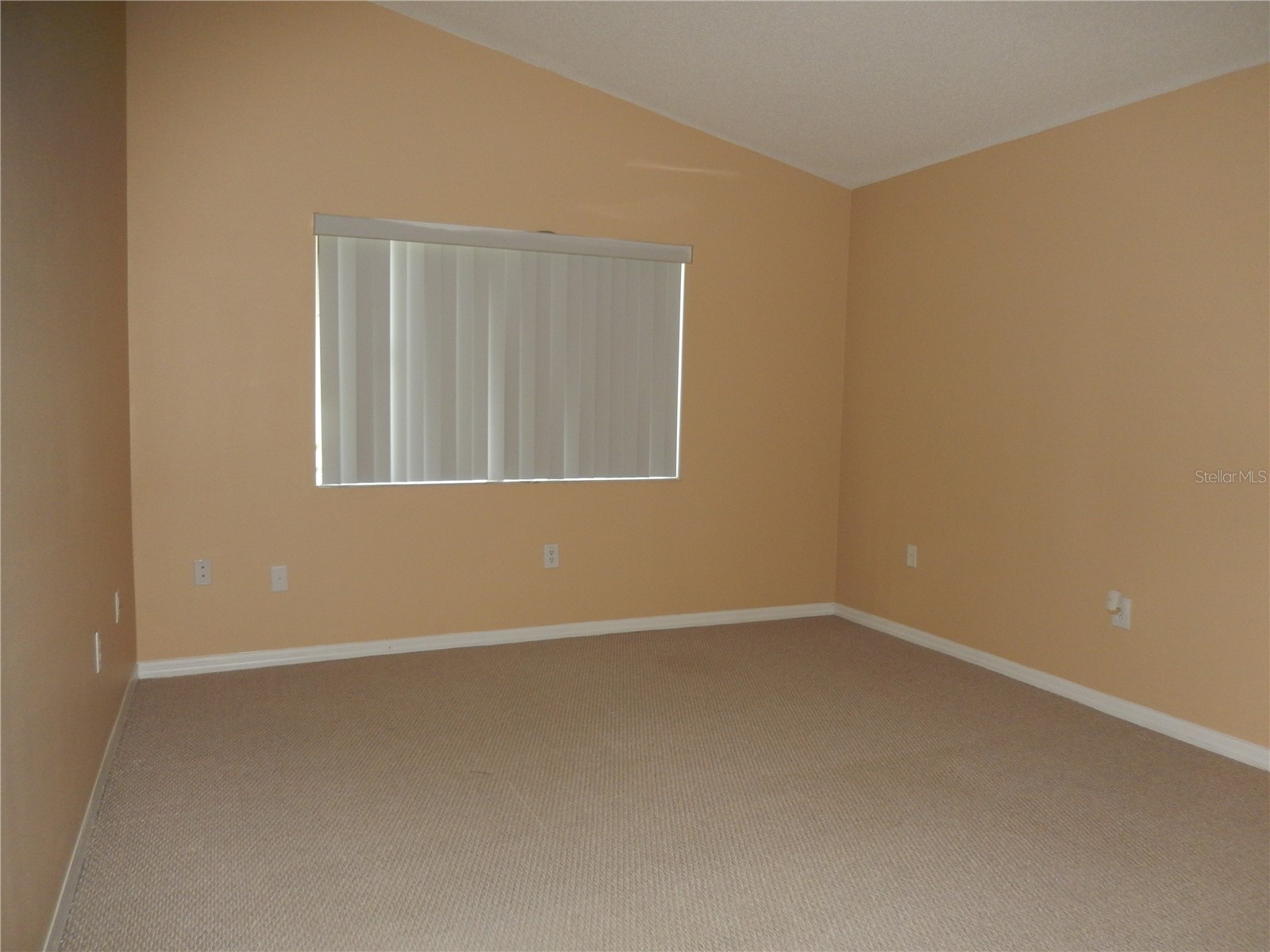 817 Frankford Drive Brandon FL 33511 TB8509483 image8