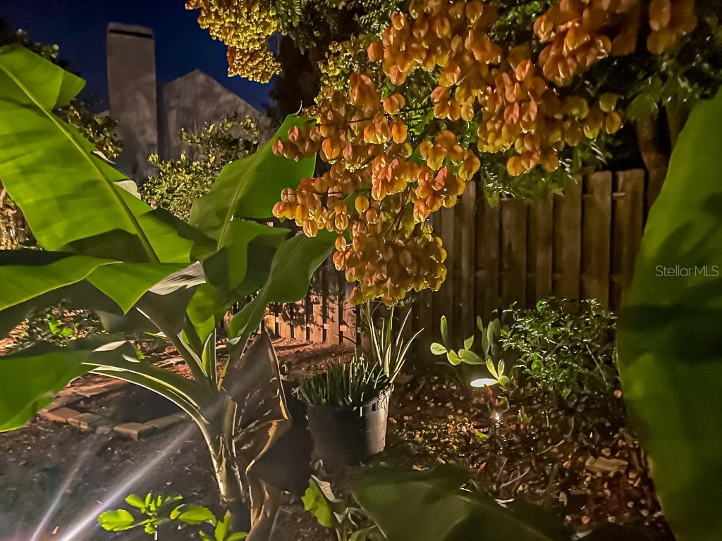 817 Garden Glen Lake Mary FL 32746 O6357521 image36