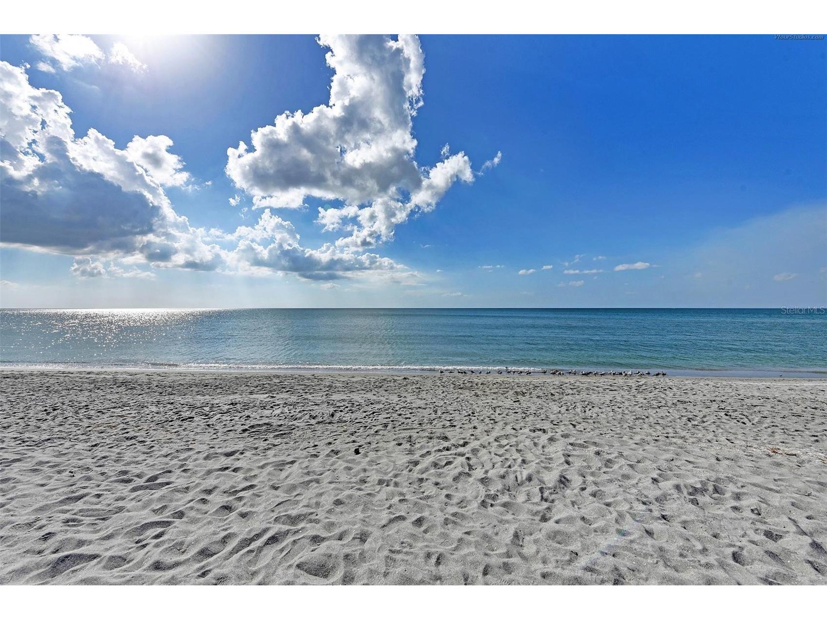 817 Harbor Drive S Venice FL 34285 A4684013 image24