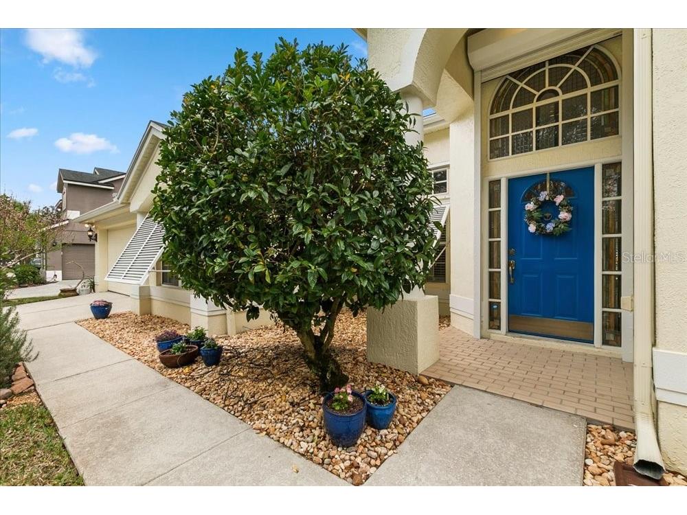 817 Kingsbridge Drive Oviedo FL 32765 O6388006 image3