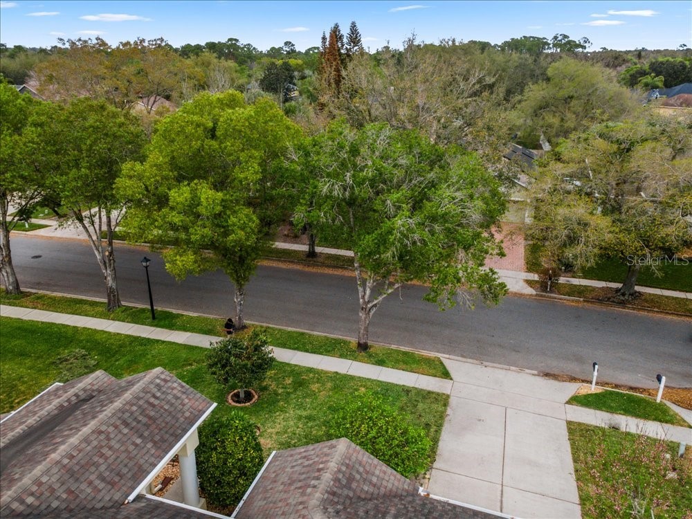 817 Kingsbridge Drive Oviedo FL 32765 O6388006 image61