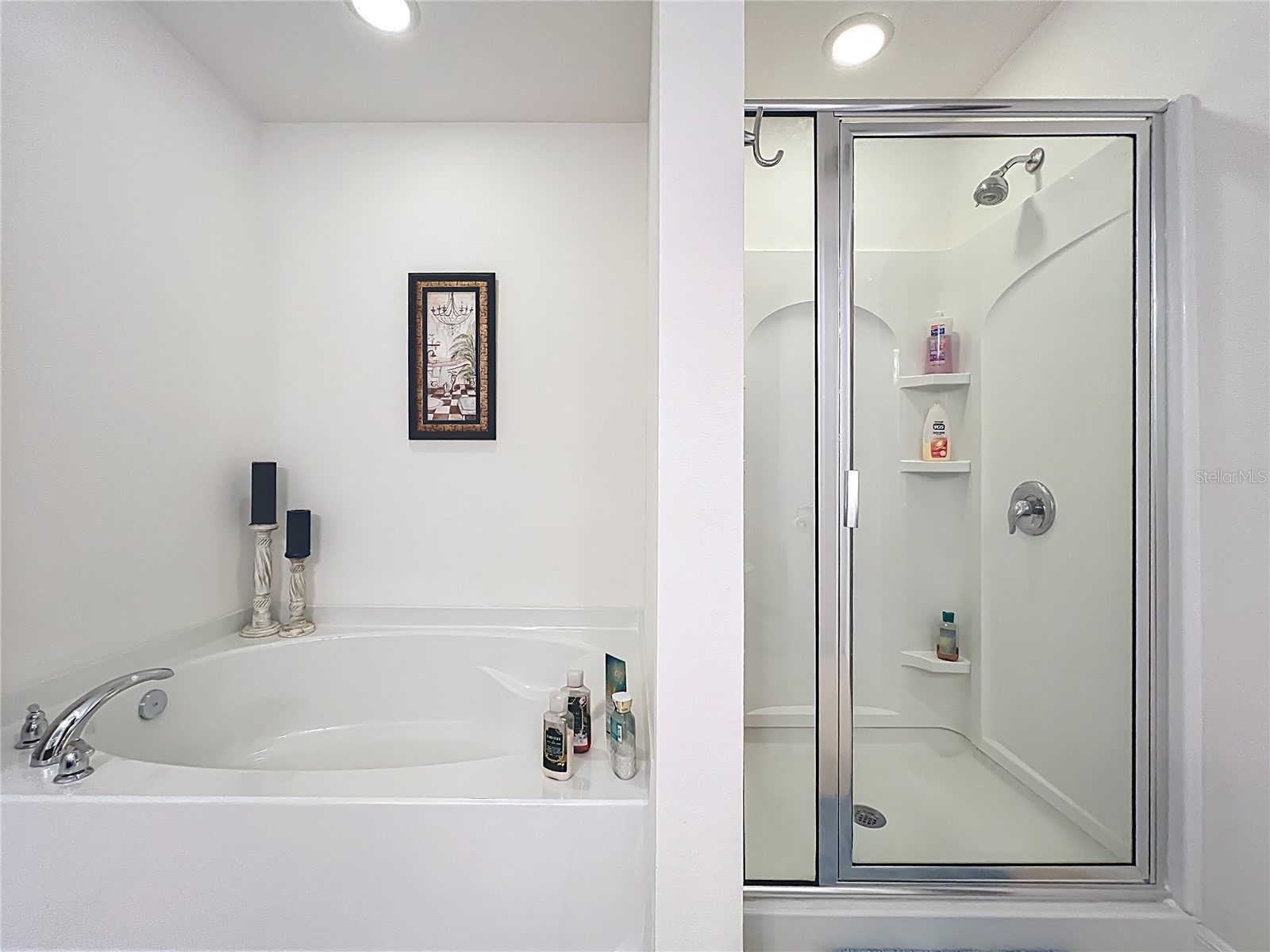 817 Laurel View Way Groveland FL 34736 G5111260 image36