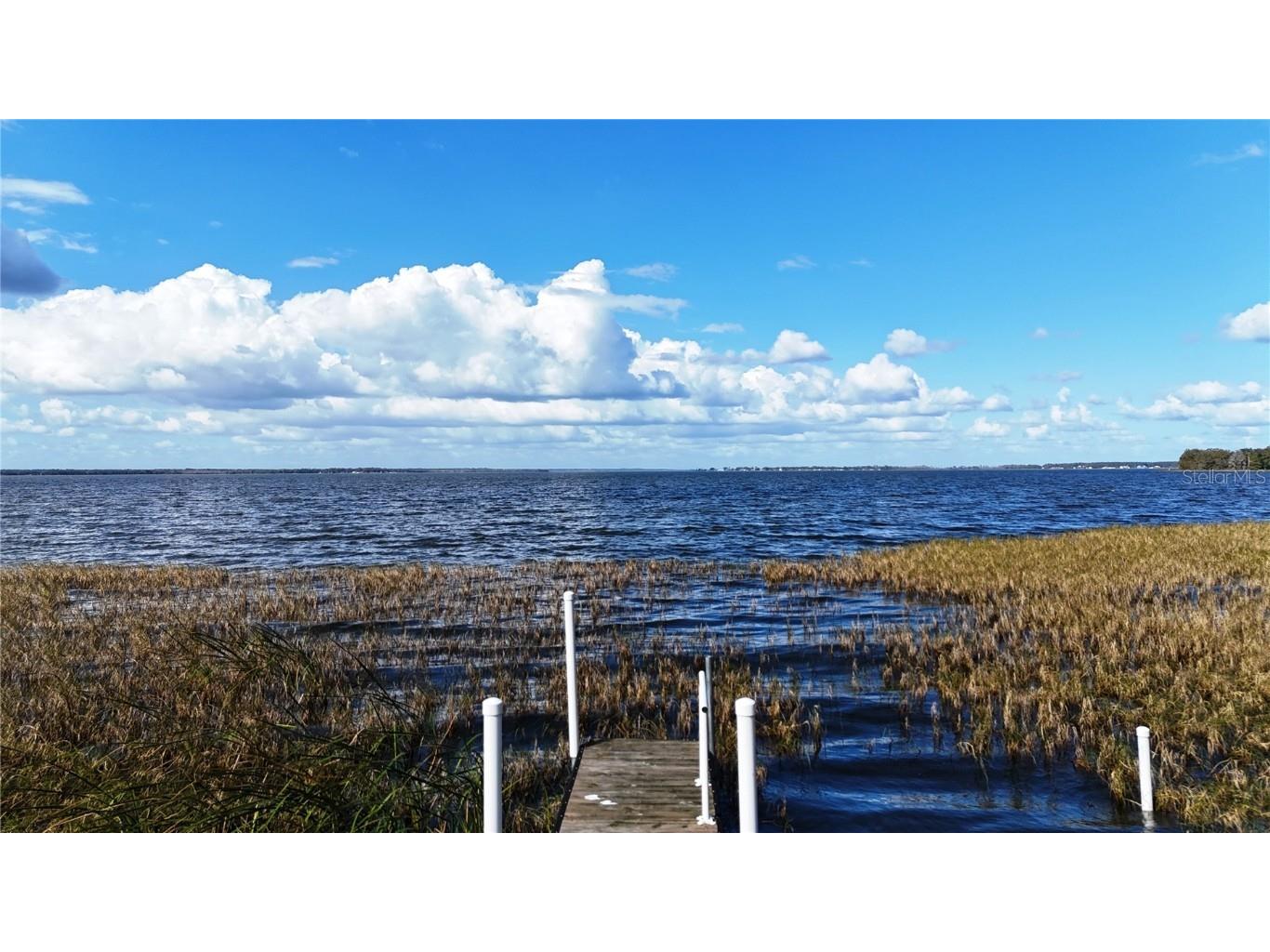 817 Oaks Shores Road Leesburg FL 34748 - LAKE GRIFFIN G5091614 image5