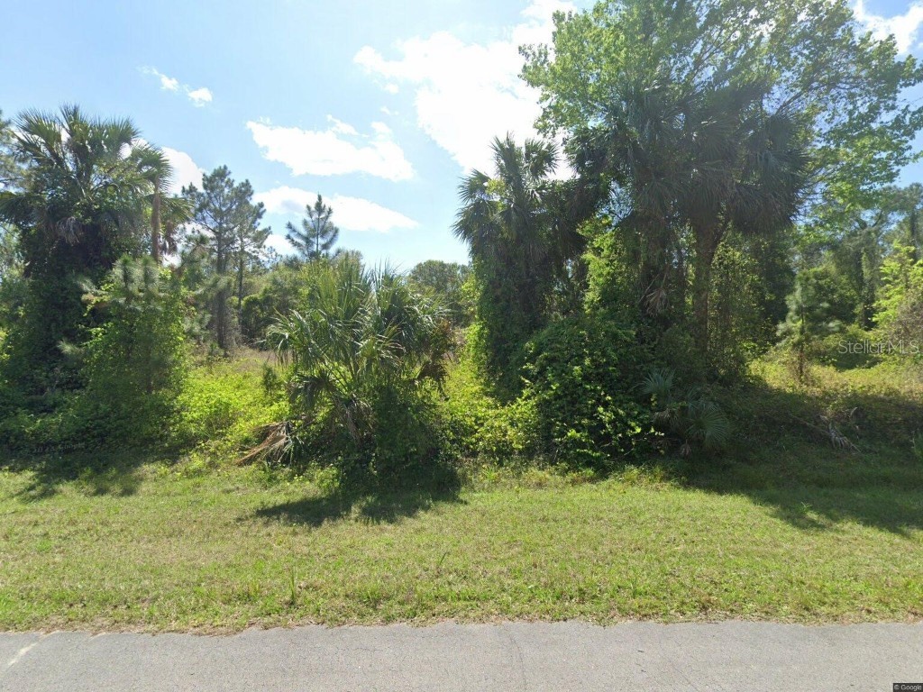 817 Paradise Boulevard Georgetown FL 32139 - Lake George O6287114 image1