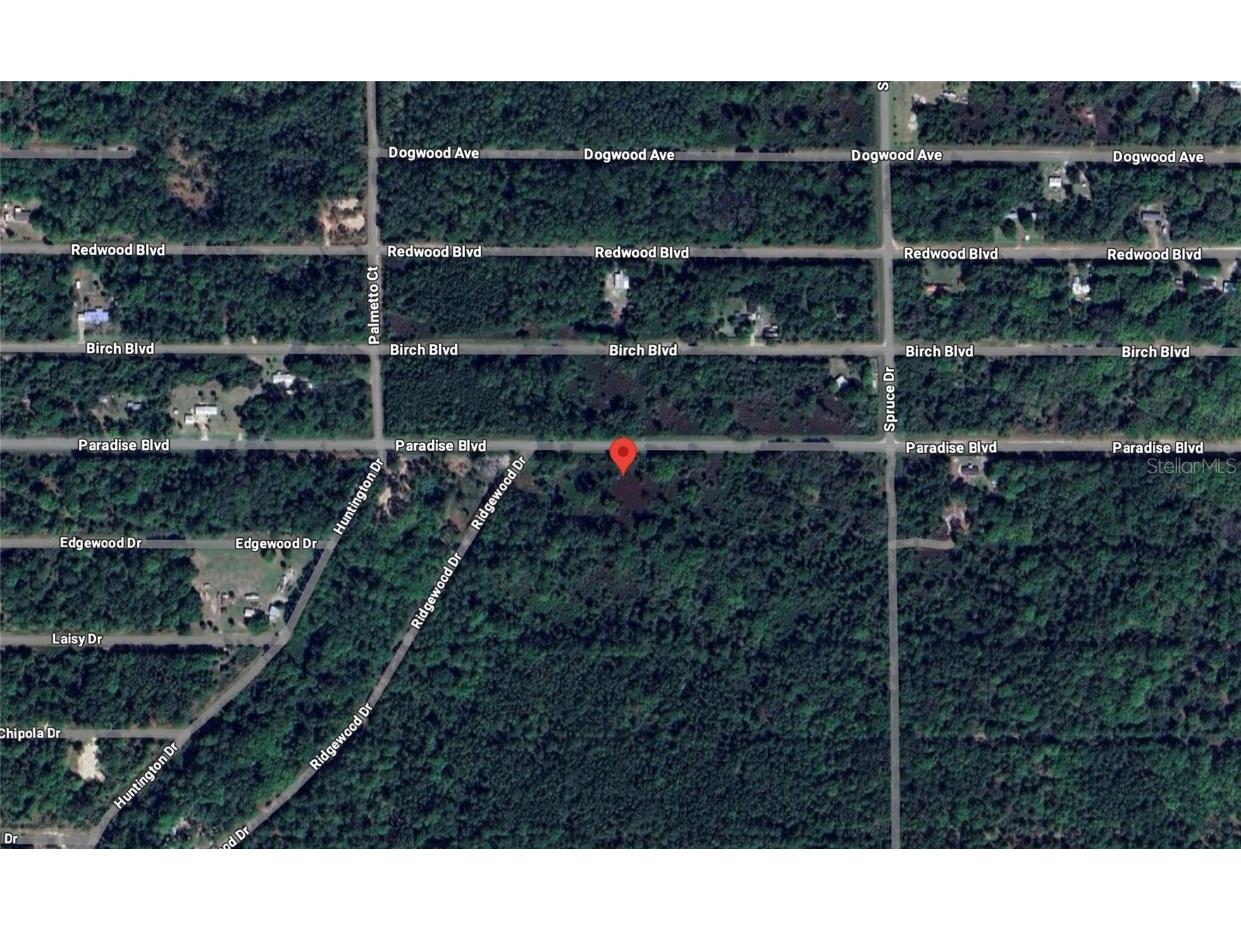 817 Paradise Boulevard Georgetown FL 32139 - Lake George O6287114 image2
