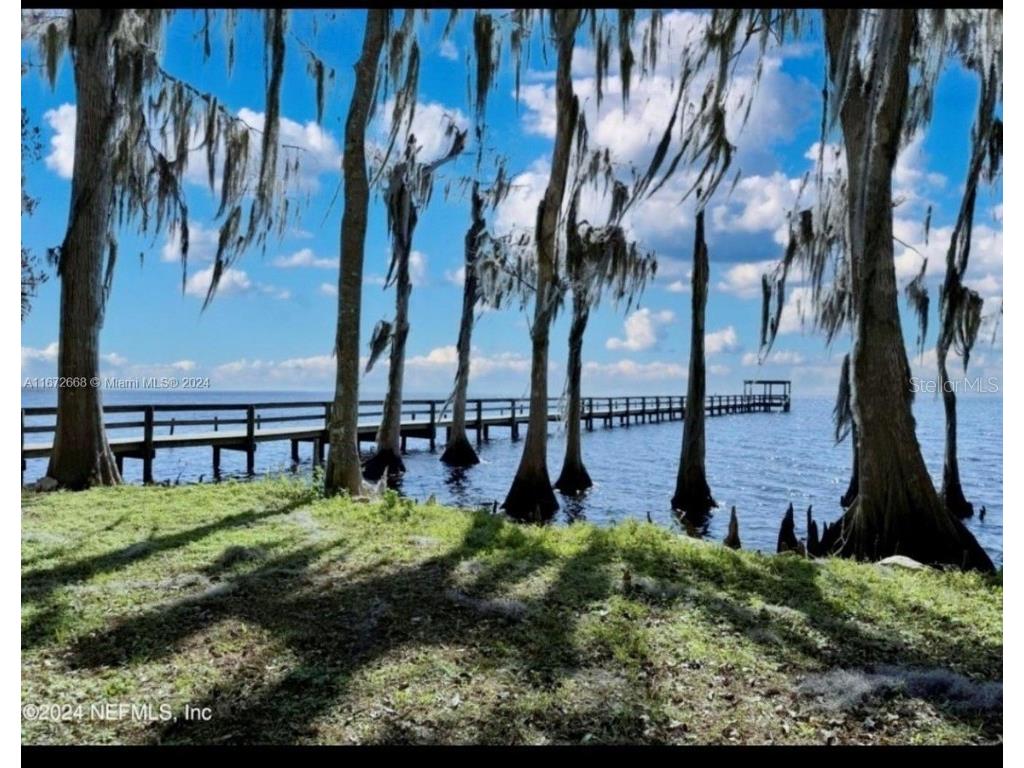 817 Paradise Boulevard Georgetown FL 32139 - Lake George O6287114 image3