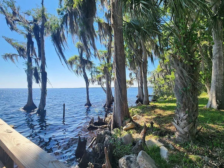 817 Paradise Boulevard Georgetown FL 32139 - Lake George O6287114 image5