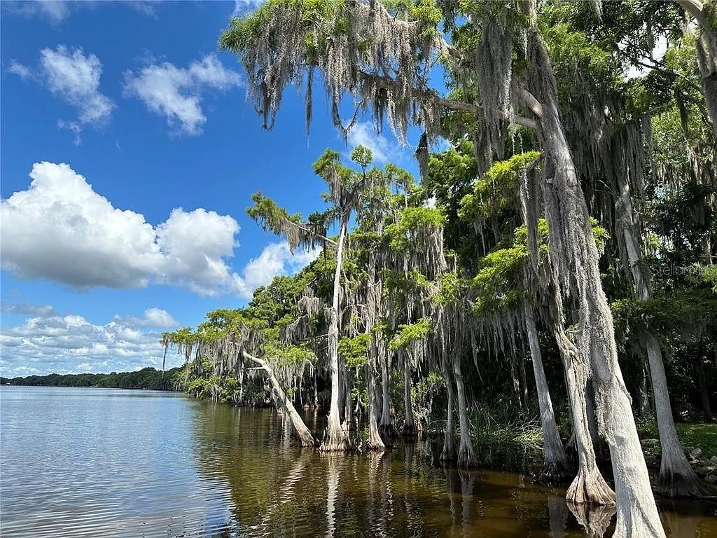 817 Paradise Boulevard Georgetown FL 32139 - Lake George O6287114 image8