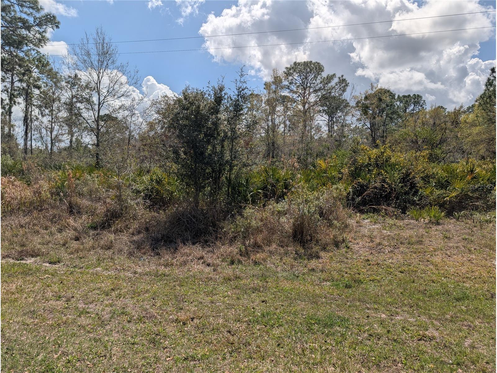 817 Poinciana Drive Indian Lake Estates FL 33855 - LAKE WALK-IN-WATER P4938038 image2
